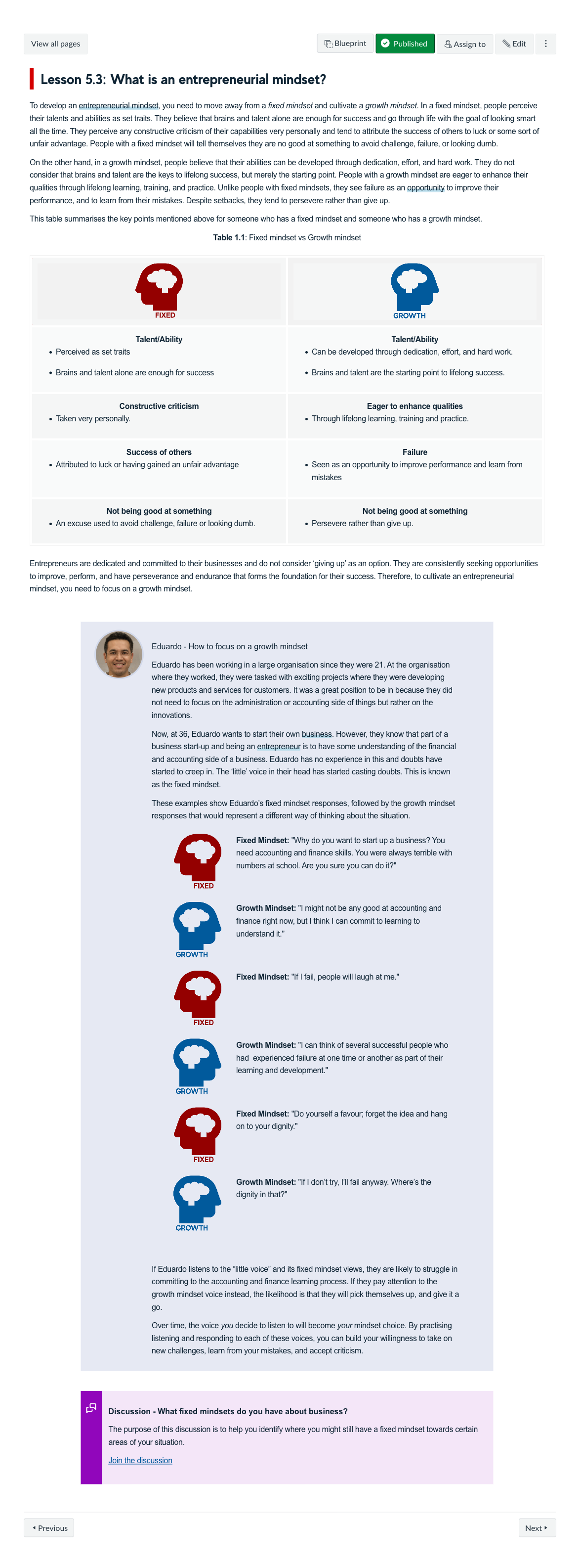 Lesson 5.3: What is an entrepreneurial mindset?