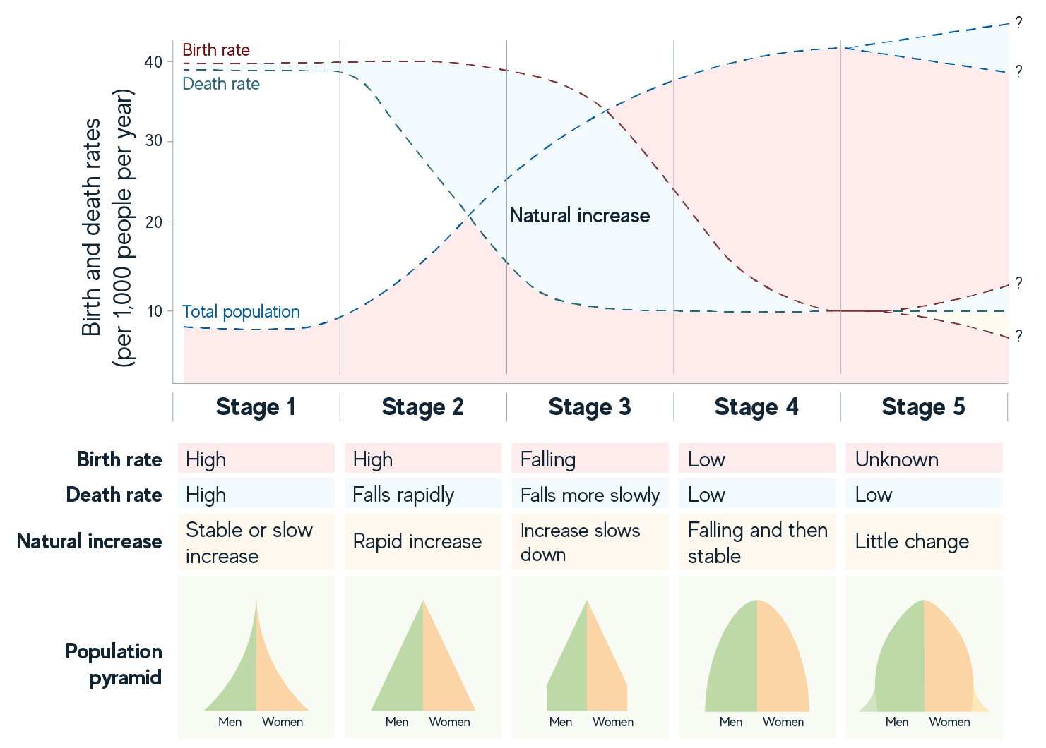 The five stages of the demographic transition